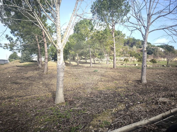 Moradia T4 para Venda em São João da Ribeira e Ribeira de São João Foto 49