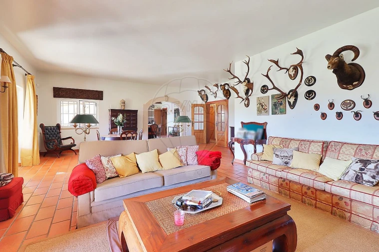 Moradia T4 para Venda em São João da Ribeira e Ribeira de São João Foto 7