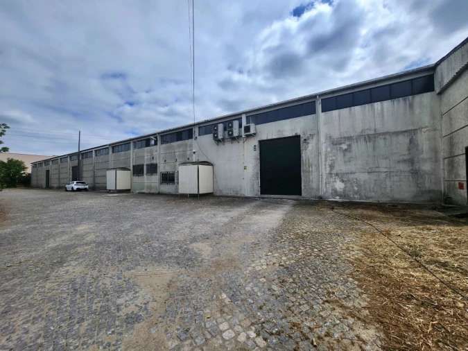 Armazém para Arrendamento em Folgosa Foto 34