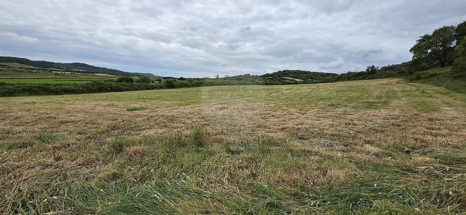 Terreno para Venda em Almargem do Bispo, Pêro Pinheiro e Montelavar Foto 3