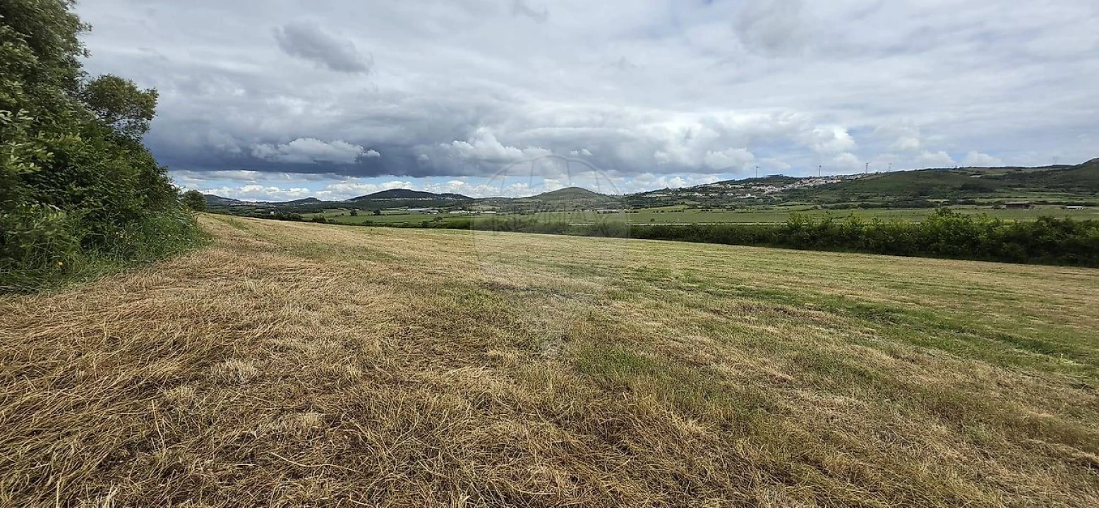 Terreno para Venda em Almargem do Bispo, Pêro Pinheiro e Montelavar Foto 2