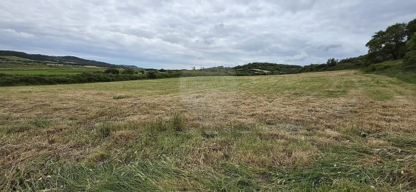 Terreno para Venda em Almargem do Bispo, Pêro Pinheiro e Montelavar