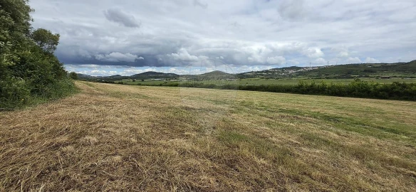 Terreno para Venda em Almargem do Bispo, Pêro Pinheiro e Montelavar