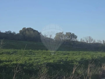 Terreno para Venda em Almargem do Bispo, Pêro Pinheiro e Montelavar