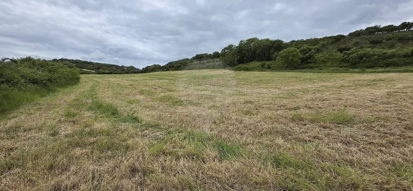 Terreno para Venda em Almargem do Bispo, Pêro Pinheiro e Montelavar