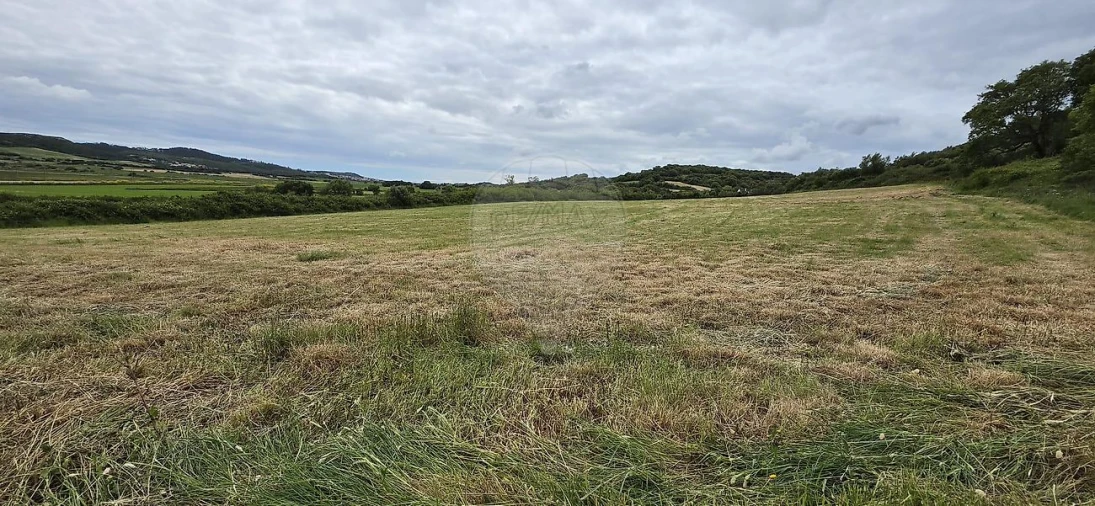 Terreno para Venda em Almargem do Bispo, Pêro Pinheiro e Montelavar Foto 3