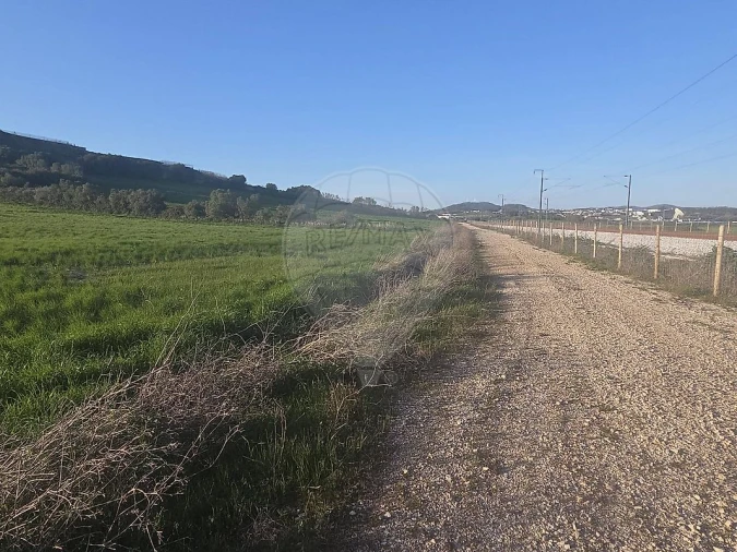 Terreno para Venda em Almargem do Bispo, Pêro Pinheiro e Montelavar Foto 9