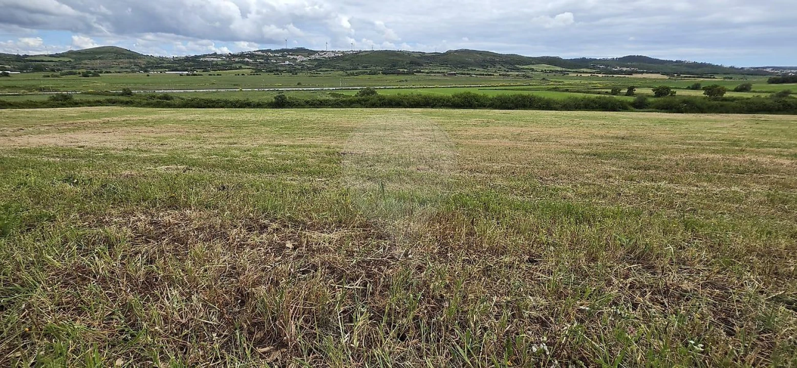 Terreno para Venda em Almargem do Bispo, Pêro Pinheiro e Montelavar Foto 1