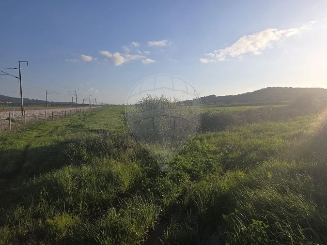 Terreno para Venda em Almargem do Bispo, Pêro Pinheiro e Montelavar Foto 10