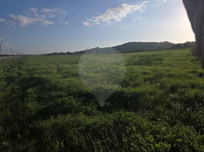 Terreno para Venda em Almargem do Bispo, Pêro Pinheiro e Montelavar Foto 9
