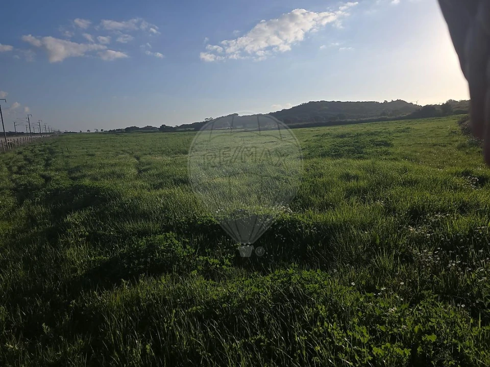 Terreno para Venda em Almargem do Bispo, Pêro Pinheiro e Montelavar Foto 9