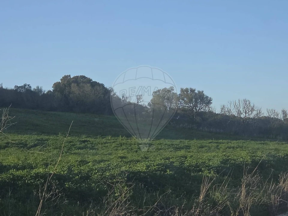 Terreno para Venda em Almargem do Bispo, Pêro Pinheiro e Montelavar Foto 4