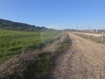 Terreno para Venda em Almargem do Bispo, Pêro Pinheiro e Montelavar