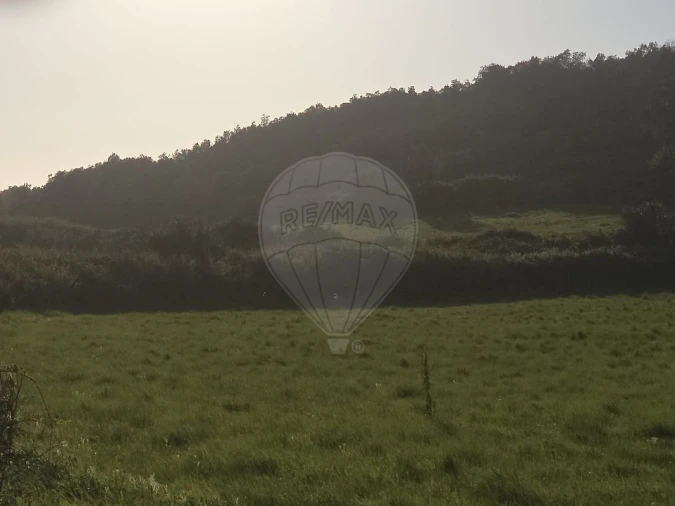 Terreno para Venda em Almargem do Bispo, Pêro Pinheiro e Montelavar Foto 10