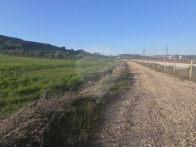 Terreno para Venda em Almargem do Bispo, Pêro Pinheiro e Montelavar Foto 6