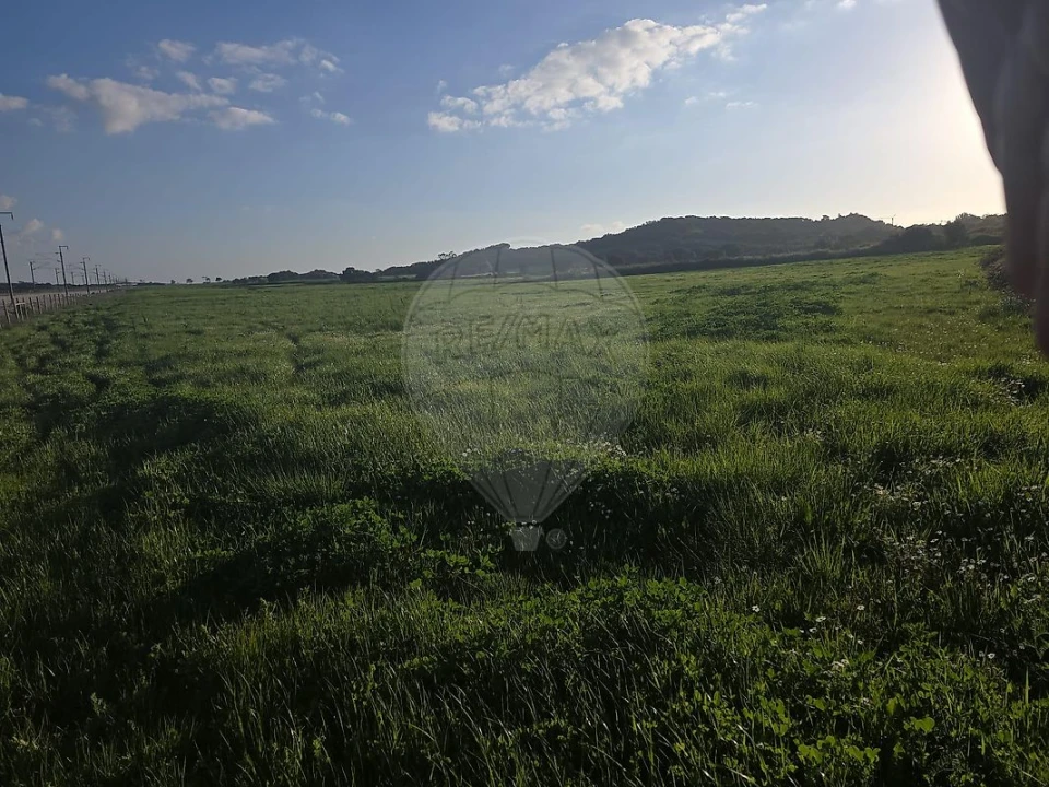 Terreno para Venda em Almargem do Bispo, Pêro Pinheiro e Montelavar Foto 9
