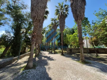 Apartamento T2 para Venda em Benfica