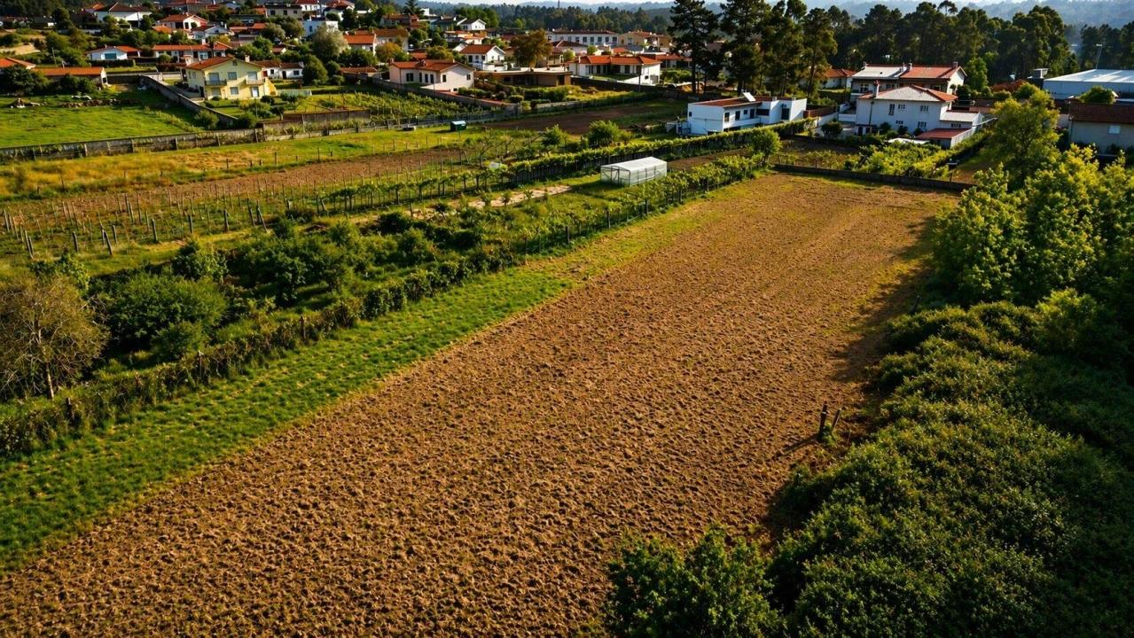 Terreno Agricola ou Rústico para Venda em Perelhal Foto 7