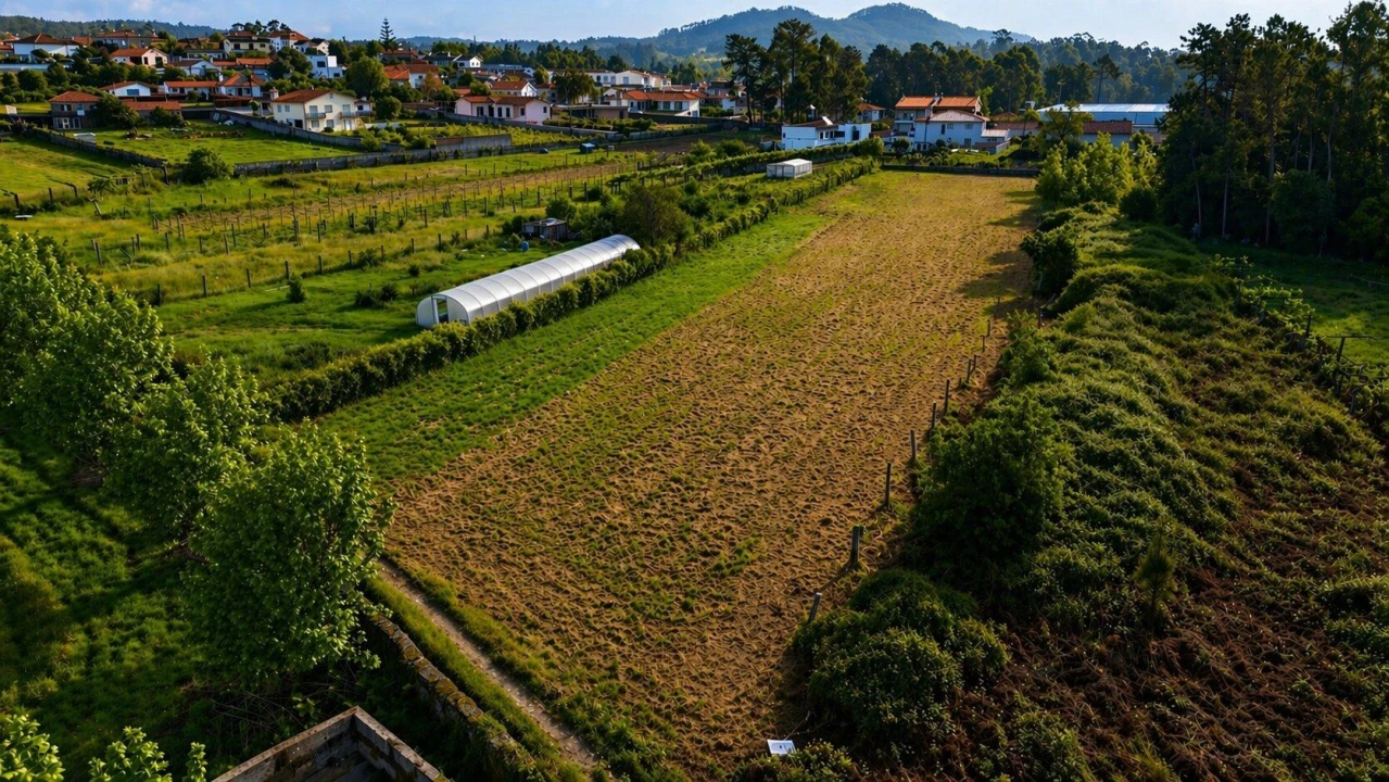 Terreno Agricola ou Rústico para Venda em Perelhal Foto 9