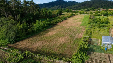 Terreno Agricola ou Rústico para Venda em Perelhal