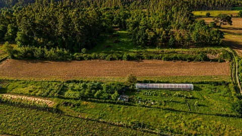 Terreno Agricola ou Rústico para Venda em Perelhal