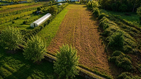 Terreno Agricola ou Rústico para Venda em Perelhal