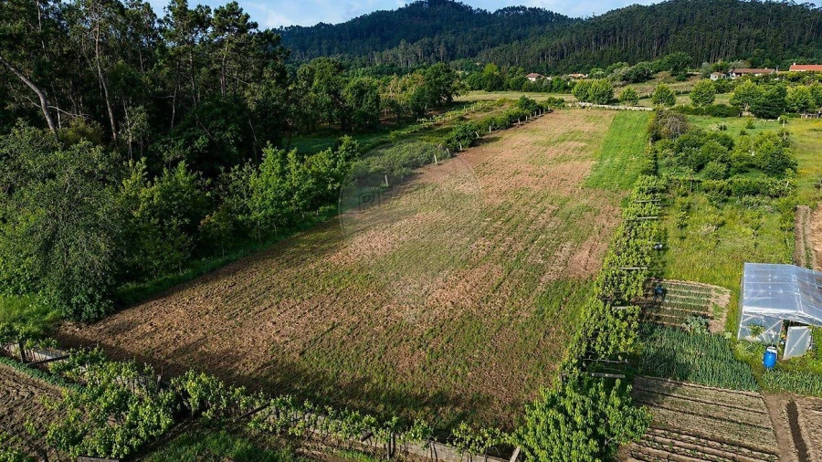 Terreno Agricola ou Rústico para Venda em Perelhal Foto 12