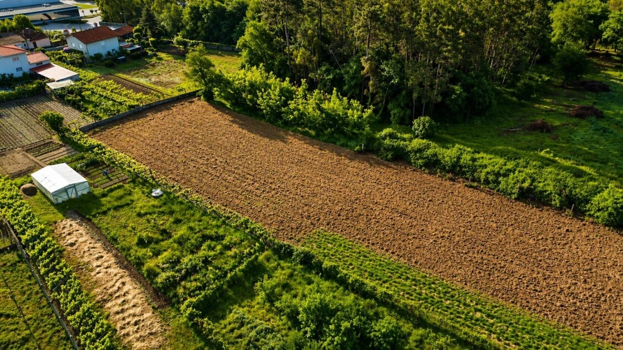 Terreno Agricola ou Rústico para Venda em Perelhal Foto 2