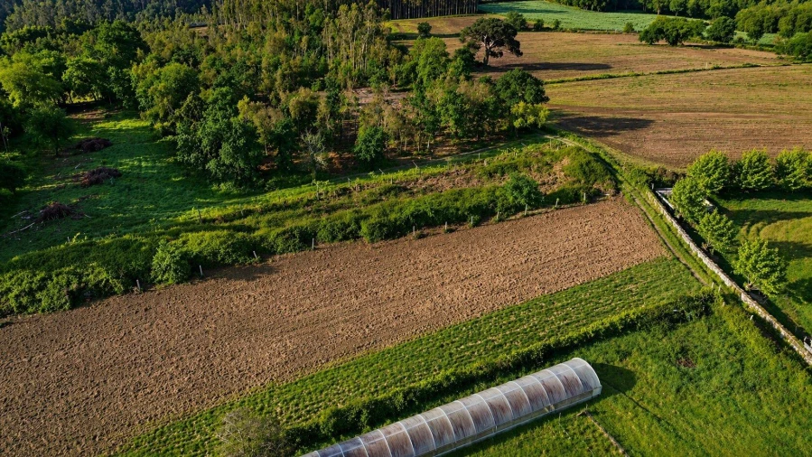Terreno Agricola ou Rústico para Venda em Perelhal Foto 4