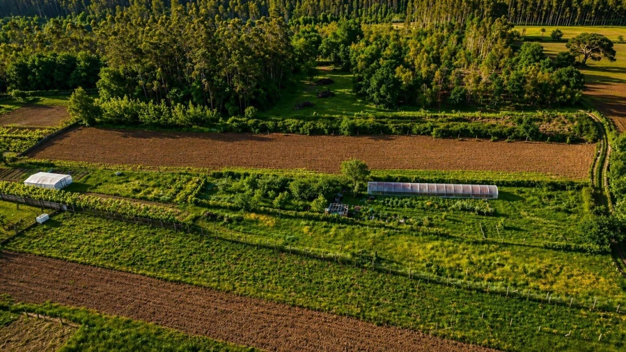 Terreno Agricola ou Rústico para Venda em Perelhal Foto 6