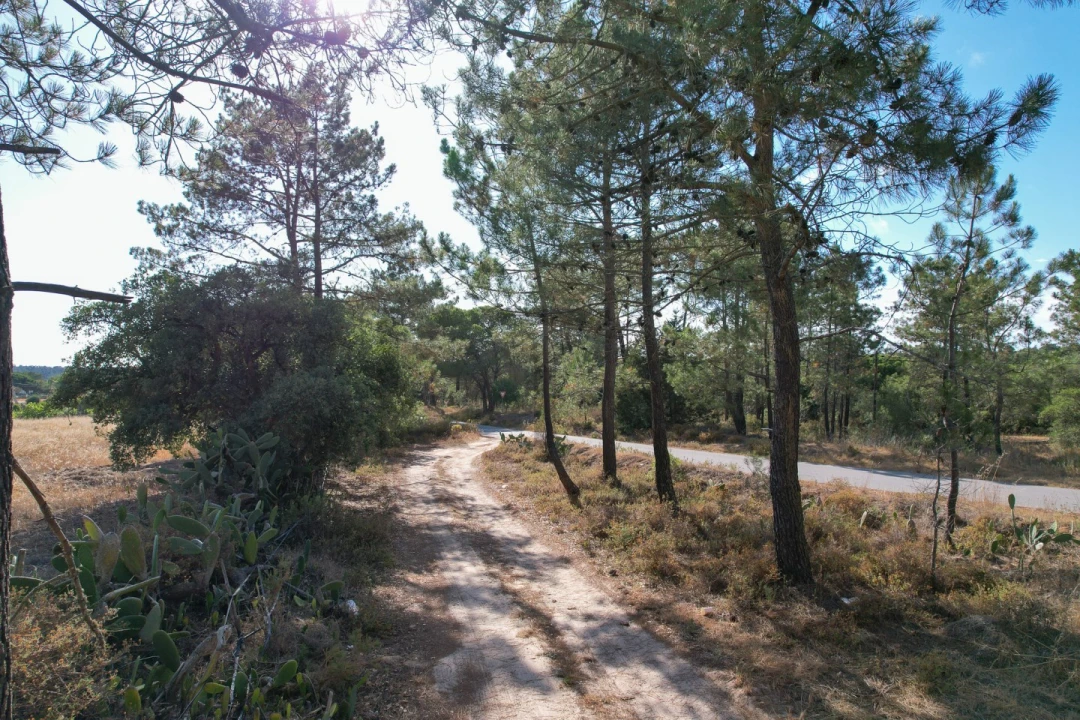 Moradia T3 para Venda em Melides Foto 16