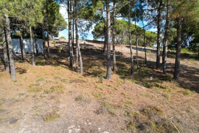 Moradia T3 para Venda em Melides