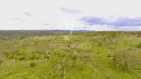 Terreno para Venda em Grândola e Santa Margarida da Serra