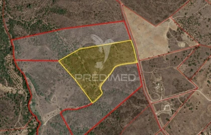 Terreno para Venda em Grândola e Santa Margarida da Serra