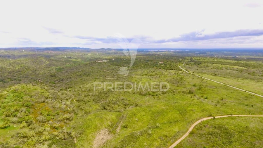 Terreno para Venda em Grândola e Santa Margarida da Serra Foto 3