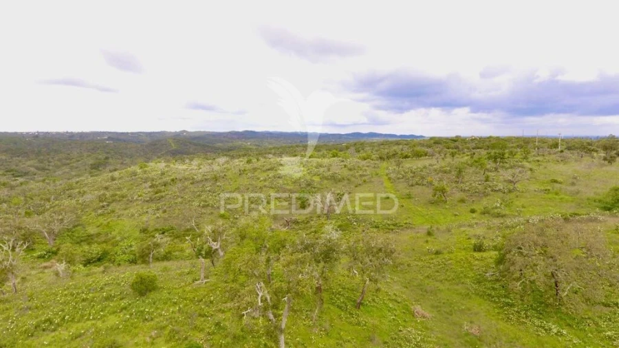 Terreno para Venda em Grândola e Santa Margarida da Serra Foto 8