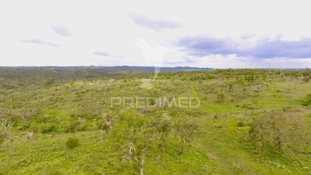 Terreno para Venda em Grândola e Santa Margarida da Serra Foto 8