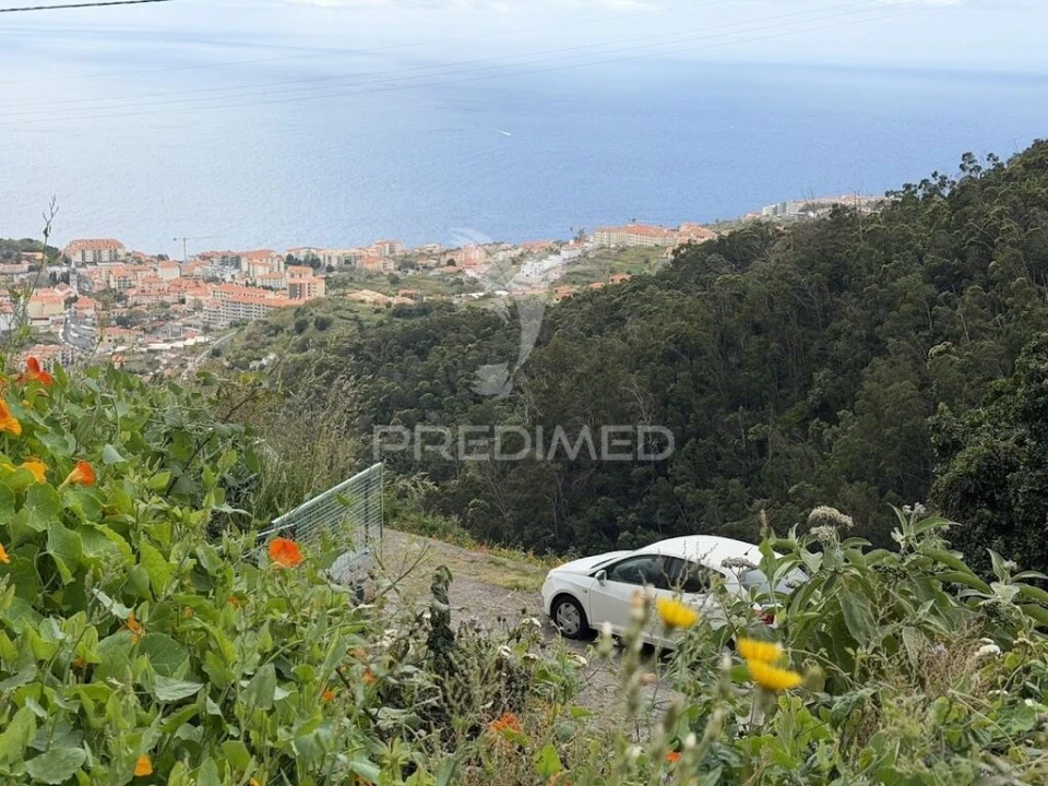 Terreno para Venda em Caniço Foto 4
