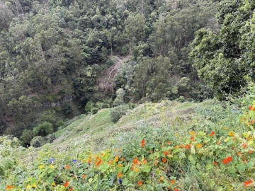 Terreno para Venda em Caniço
