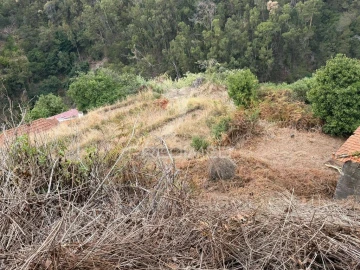 Terreno para Venda em Caniço