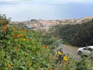 Terreno para Venda em Caniço