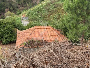 Terreno para Venda em Caniço