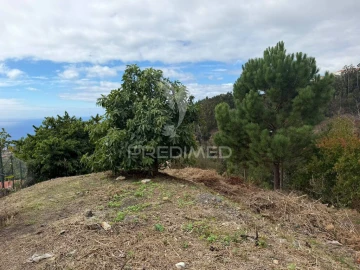 Terreno para Venda em Caniço