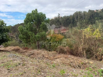 Terreno para Venda em Caniço