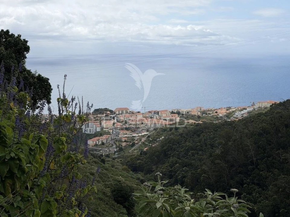 Terreno para Venda em Caniço Foto 1
