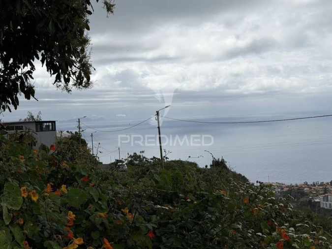 Terreno para Venda em Caniço Foto 3