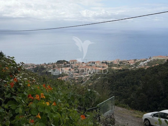 Terreno para Venda em Caniço Foto 9