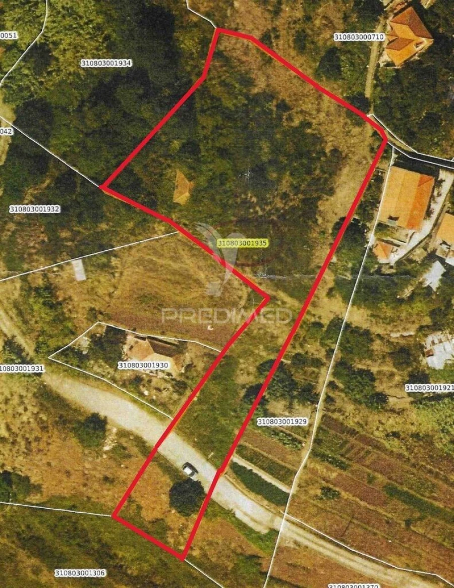 Terreno para Venda em Caniço Foto 11