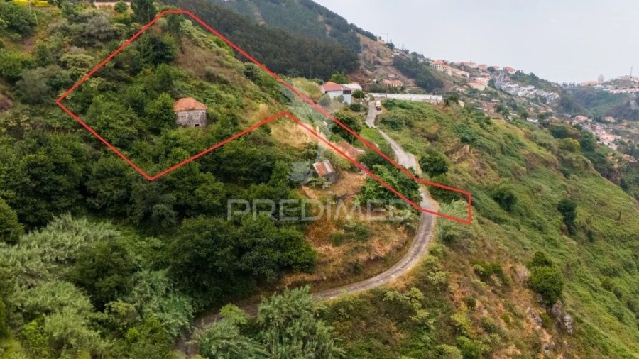 Terreno para Venda em Caniço Foto 13