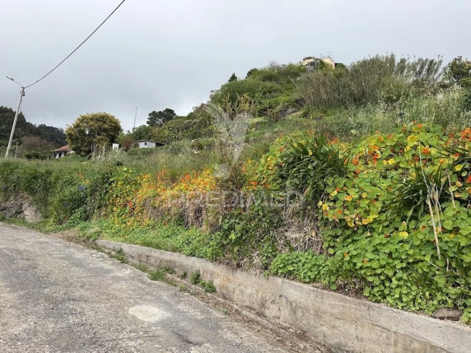 Terreno para Venda em Caniço Foto 8